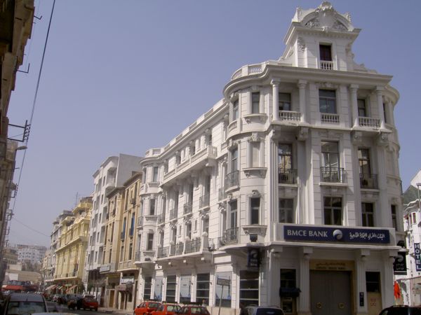 Plam Trees in Marakech