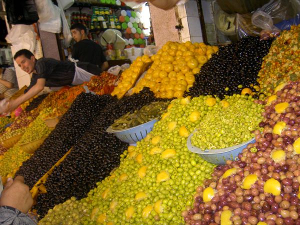 Plam Trees in Marakech