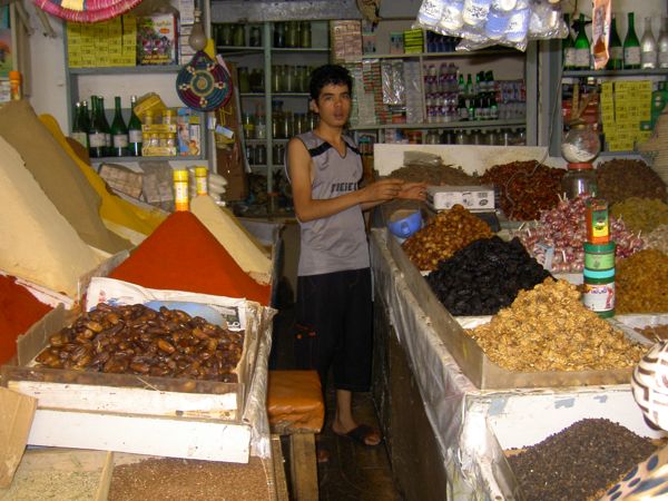 Plam Trees in Marakech