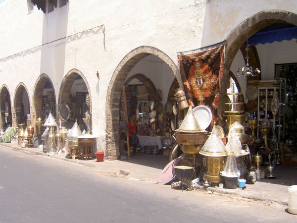 Plam Trees in Marakech