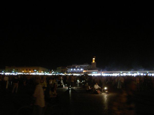 Plam Trees in Marakech