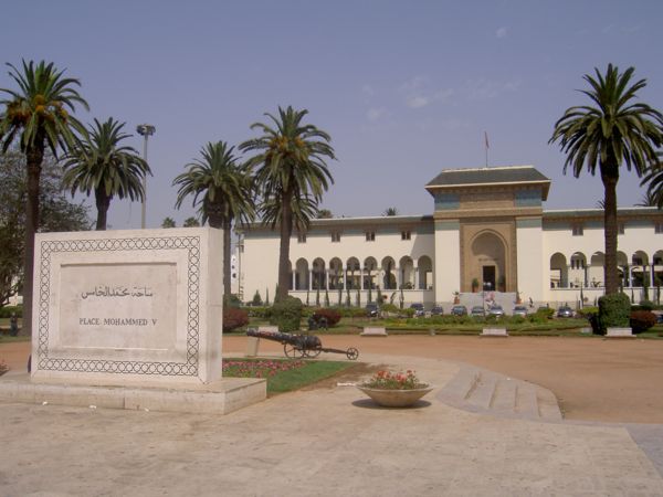 Plam Trees in Marakech